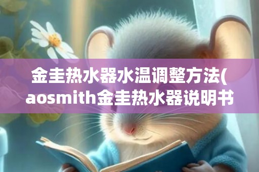 金圭热水器水温调整方法(aosmith金圭热水器说明书)