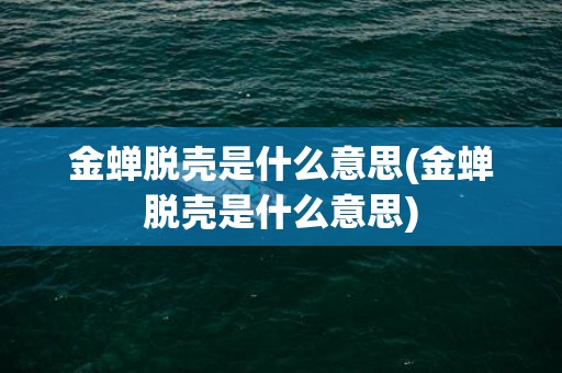 金蝉脱壳是什么意思(金蝉脱壳是什么意思)