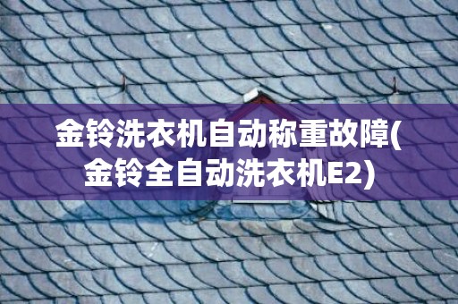 金铃洗衣机自动称重故障(金铃全自动洗衣机E2)