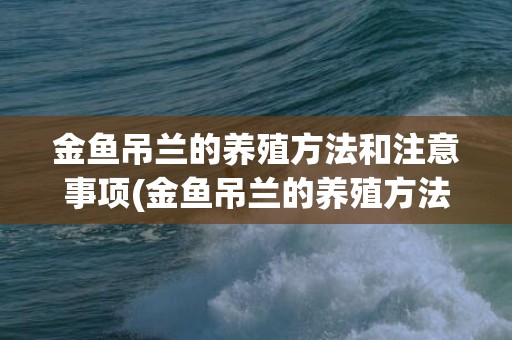 金鱼吊兰的养殖方法和注意事项(金鱼吊兰的养殖方法和注意事项夏天)