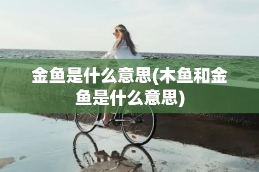 金鱼是什么意思(木鱼和金鱼是什么意思)