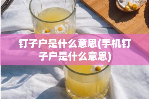 钉子户是什么意思(手机钉子户是什么意思)