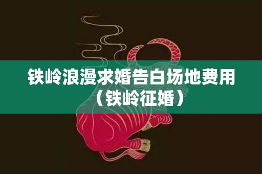 铁岭浪漫求婚告白场地费用（铁岭征婚）