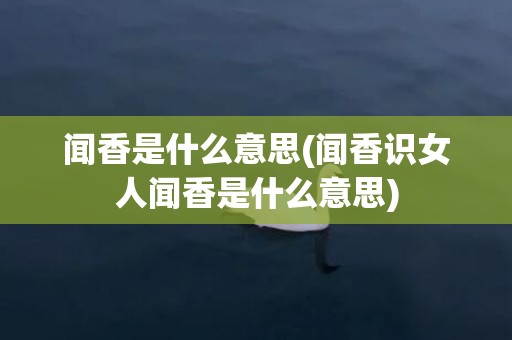 闻香是什么意思(闻香识女人闻香是什么意思)