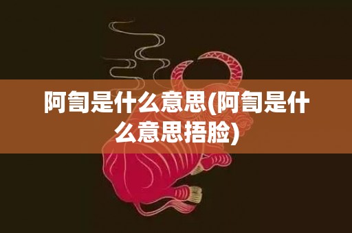 阿訇是什么意思(阿訇是什么意思捂脸)