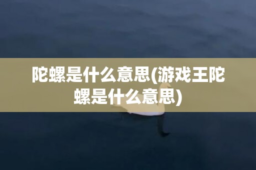 陀螺是什么意思(游戏王陀螺是什么意思)