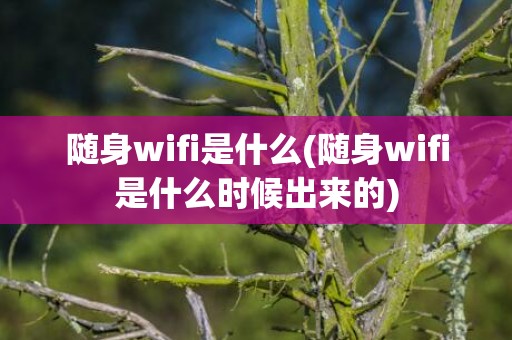 随身wifi是什么(随身wifi是什么时候出来的)