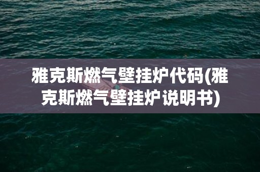 雅克斯燃气壁挂炉代码(雅克斯燃气壁挂炉说明书)