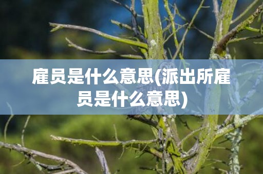 雇员是什么意思(派出所雇员是什么意思)