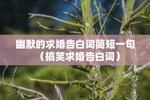 幽默的求婚告白词简短一句（搞笑求婚告白词）