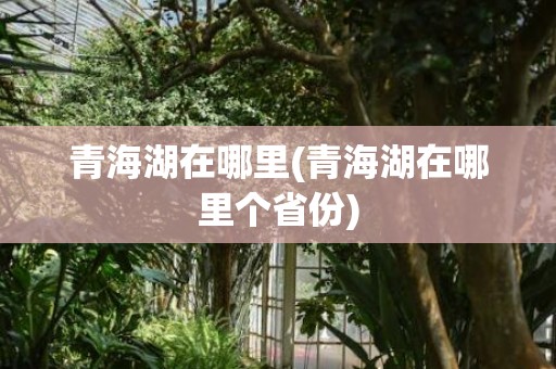 青海湖在哪里(青海湖在哪里个省份)