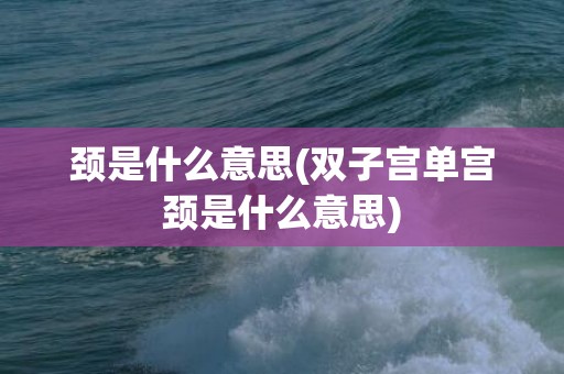 颈是什么意思(双子宫单宫颈是什么意思)