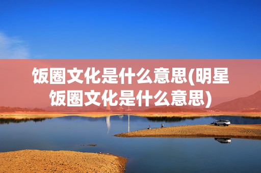 饭圈文化是什么意思(明星饭圈文化是什么意思)