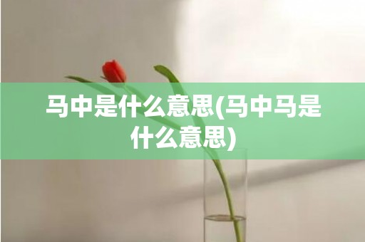 马中是什么意思(马中马是什么意思)