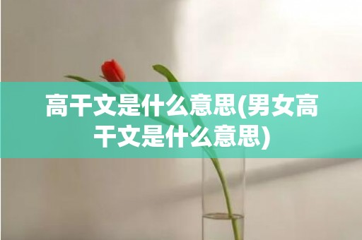 高干文是什么意思(男女高干文是什么意思)