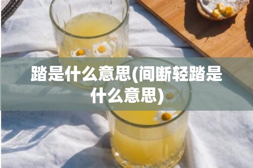 踏是什么意思(间断轻踏是什么意思)