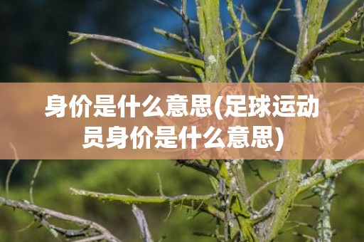 身价是什么意思(足球运动员身价是什么意思)