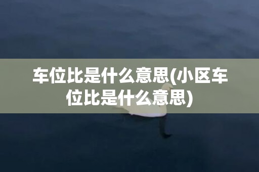 车位比是什么意思(小区车位比是什么意思)