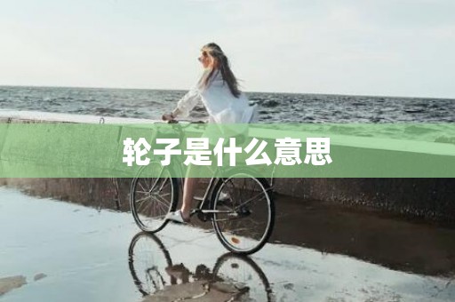 轮子是什么意思