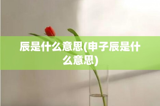 辰是什么意思(申子辰是什么意思)