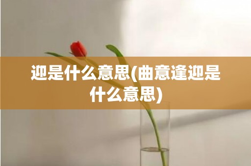 迎是什么意思(曲意逢迎是什么意思)