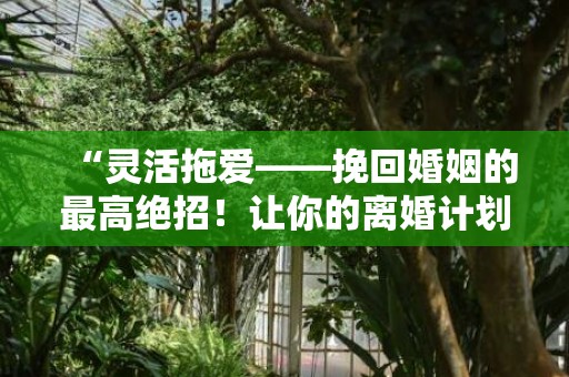 “灵活拖爱——挽回婚姻的最高绝招！让你的离婚计划胎死腹中，幸福恢复亮丽！”