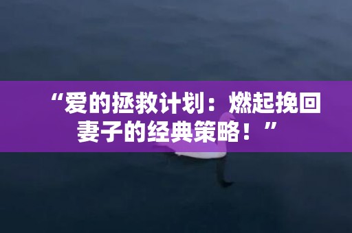 “爱的拯救计划：燃起挽回妻子的经典策略！”