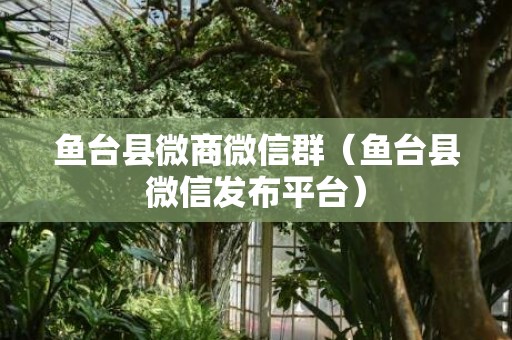 鱼台县微商微信群（鱼台县微信发布平台）