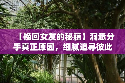 【挽回女友的秘籍】洞悉分手真正原因，细腻追寻彼此之间的共鸣