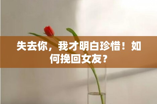 失去你，我才明白珍惜！如何挽回女友？