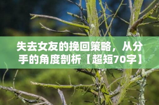 失去女友的挽回策略，从分手的角度剖析【超短70字】