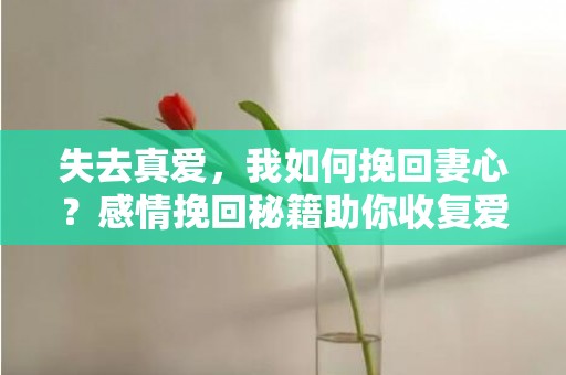 失去真爱，我如何挽回妻心？感情挽回秘籍助你收复爱情！