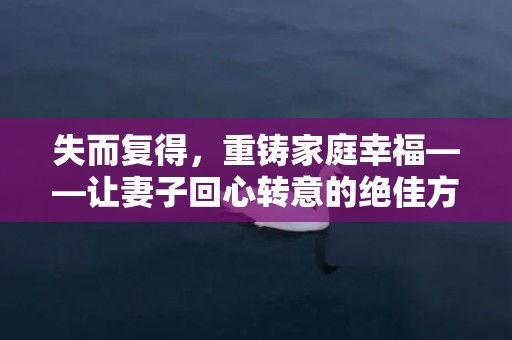 失而复得，重铸家庭幸福——让妻子回心转意的绝佳方法