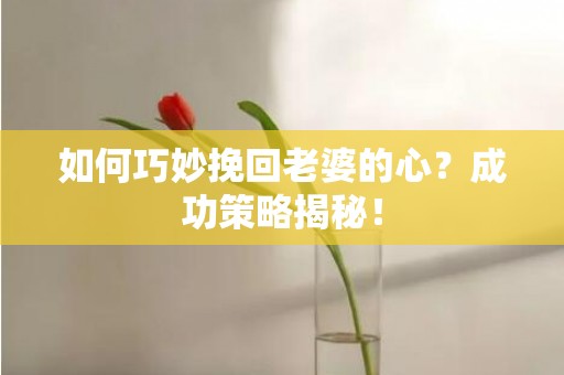 如何巧妙挽回老婆的心？成功策略揭秘！