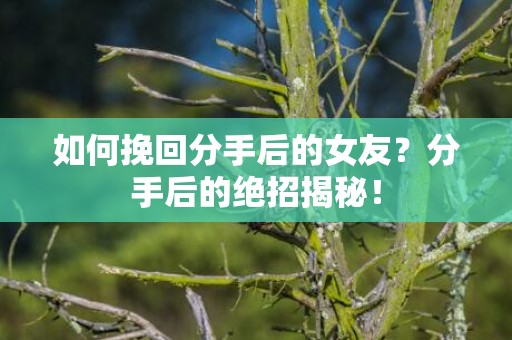 如何挽回分手后的女友？分手后的绝招揭秘！