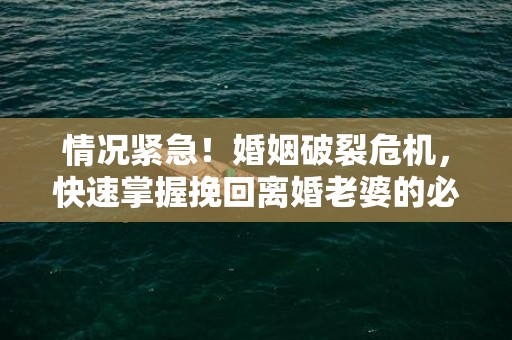 情况紧急！婚姻破裂危机，快速掌握挽回离婚老婆的必备技巧！