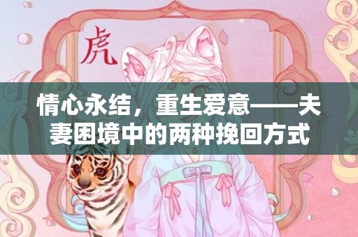 情心永结，重生爱意——夫妻困境中的两种挽回方式