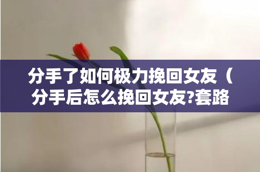 分手了如何极力挽回女友（分手后怎么挽回女友?套路总是得人心的）