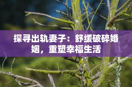 探寻出轨妻子：舒缓破碎婚姻，重塑幸福生活