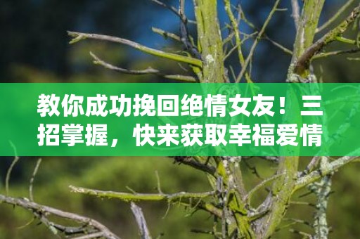 教你成功挽回绝情女友！三招掌握，快来获取幸福爱情！