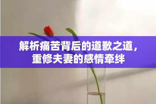 解析痛苦背后的道歉之道，重修夫妻的感情牵绊