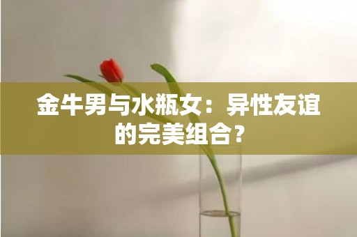 金牛男与水瓶女：异性友谊的完美组合？