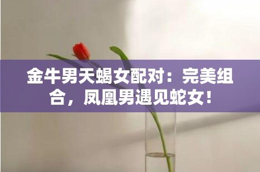 金牛男天蝎女配对：完美组合，凤凰男遇见蛇女！