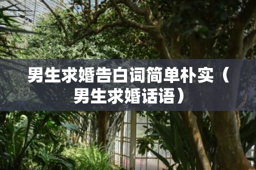 男生求婚告白词简单朴实（男生求婚话语）