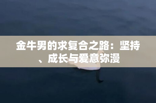 金牛男的求复合之路：坚持、成长与爱意弥漫