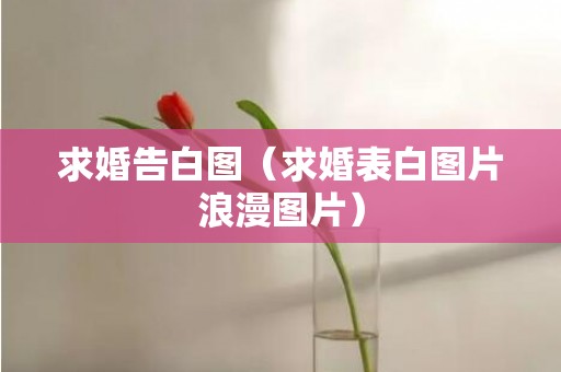 求婚告白图（求婚表白图片浪漫图片）