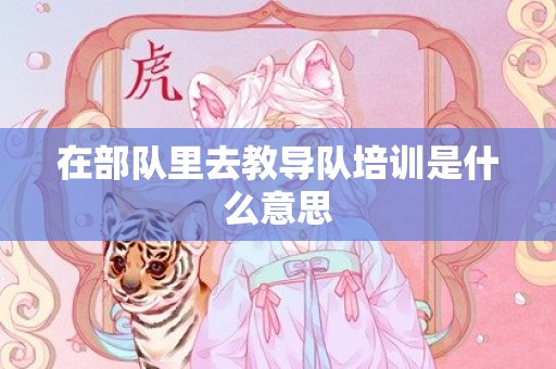 在部队里去教导队培训是什么意思