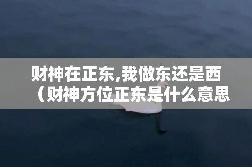 财神在正东,我做东还是西（财神方位正东是什么意思财神方位正东应该怎么做）