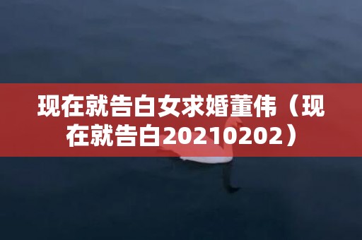 现在就告白女求婚董伟（现在就告白20210202）