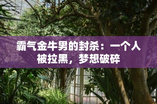 霸气金牛男的封杀：一个人被拉黑，梦想破碎